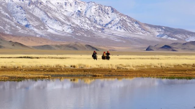 ULGII, MONGOLIA - OCTOBER 9, 2018 : View of The Mongolian Eagle Hunter with their Eagle on their arm riding horseback back home after the competition ended