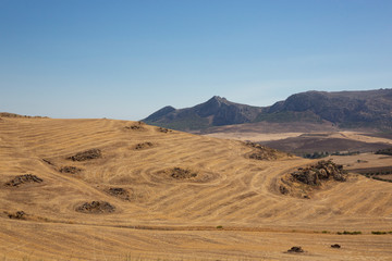 Andalusia landscape, countryside road and rock in Ronda, Spain
