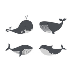 Whales and dolphins sea design icon vector set