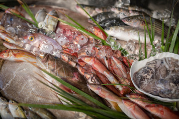 Lobster, octopus, red mullet, boops boops, sea bass, sea bream, white grouper, prawns and various fresh seafood and fishes in fish market