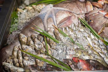 Lobster, octopus, red mullet, boops boops, sea bass, sea bream, white grouper, prawns and various...