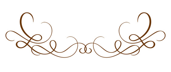 Vector Hand Drawn Calligraphic Separator. Spring Flourish Design Element. Floral light style decor for greeting card, web, wedding and print. Isolated on white background Calligraphy and lettering