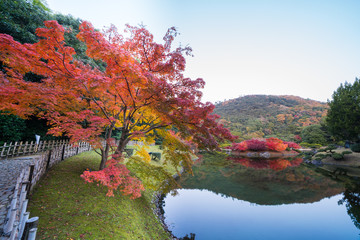 16 568 Borough Autumn Wall Murals Canvas Prints Stickers Wallsheaven