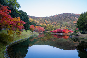 紅葉 香川県高松市峰山公園 Wall Mural Blue Blue Wallpaper Murals Kozo