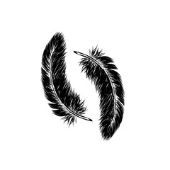 Vector hand drawn line art style feather for poster, banner, logo, icon. Fluffy feathers on transparent background in realistic style. Lightweight sketch illustration, for patterns, ink drawing