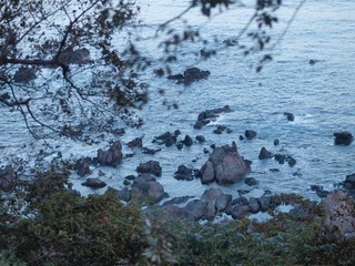 真鶴の浜