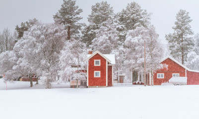 Winter in Sweden