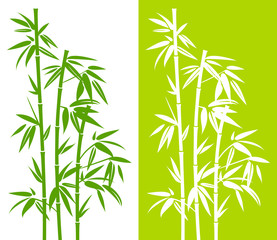 Bamboo Duo Green