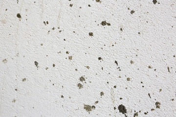 rough texture of a old gray white wall.