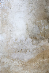 rough texture of a old gray white wall.