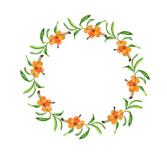 Buckthorn branches, berries and leafes frame isolated on white background. Hand drawn watercolor illustration.