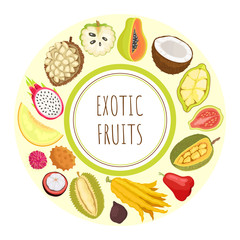 Exotic Fruits Durian Apple Papaya Citron Vector