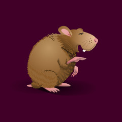 Laughing hamster