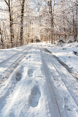 Fototapeta na wymiar Fussspuren und Reifenspuren auf verschneitem Waldweg