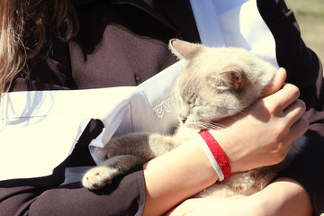 A girl in a school uniform is holding a cat