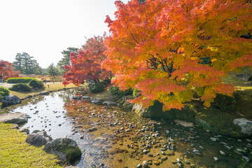 紅葉　栗林公園(香川県高松市)　2018年11月撮影