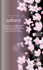 Vector banner with Cherry Blossom. Blossoming sakura branch on black. Template for invitation, sales, packaging, cosmetics, perfume. Space for text.