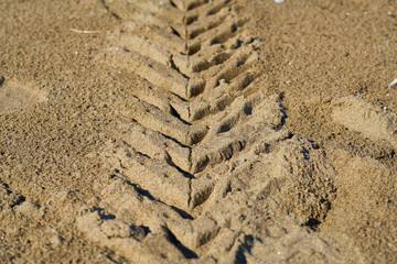 Wheel trail on the sand