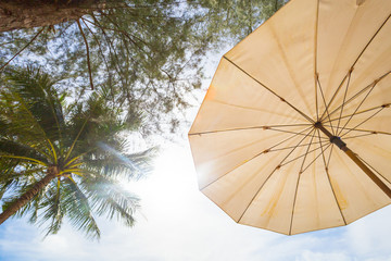 View from under of a beach umbrella