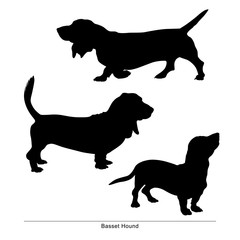 Basset Hound breed dog. Vector silhouette of the dog
