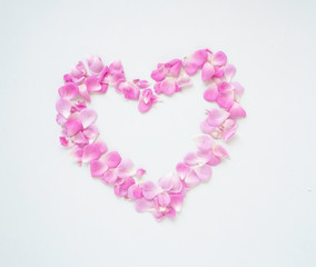 Pink roses petal heart shaped