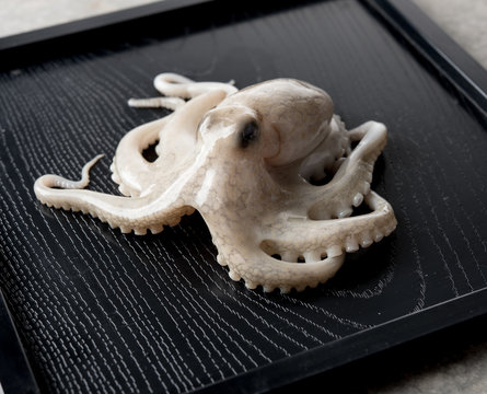 Small Octopus On Black Tray