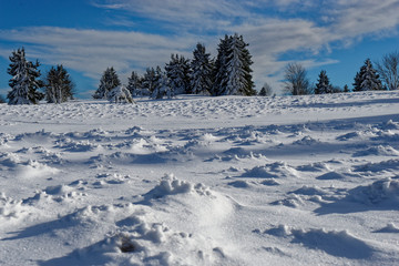 Fototapeta na wymiar Der Kreuzberg - der Heilige Berg der Franken - im Winter, Biosphärenreservat Rhön, Unterfranken, Franken, Bayern, Deutschland
