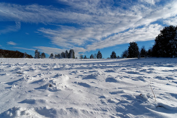 Obraz premium Der Kreuzberg - der Heilige Berg der Franken - im Winter, Biosphärenreservat Rhön, Unterfranken, Franken, Bayern, Deutschland