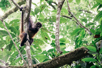 Costa Rica 2016