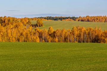 Spassko-Lutovinovo estate