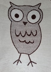 owl on a white background