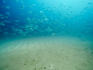 Fototapeta premium Costa Rica 2016