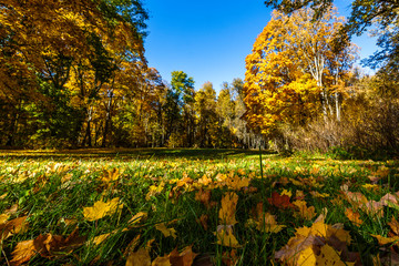 Spassko-Lutovinovo estate