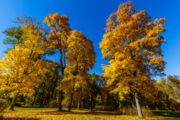 Naklejka premium Spassko-Lutovinovo estate