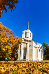 Spassko-Lutovinovo estate