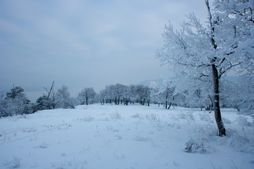 The view on the Volga river and Zhiguli hills near Zhigulevsk city in winter.