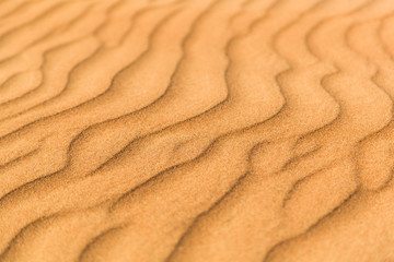 Desert
