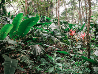 Costa Rica 2016