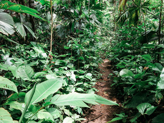 Costa Rica 2016