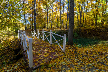Spassko-Lutovinovo estate