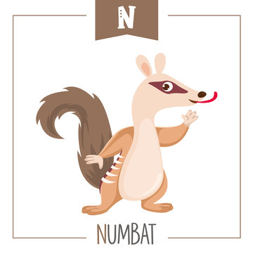 Vector Illustration Of Alphabet Letter N And Numbat