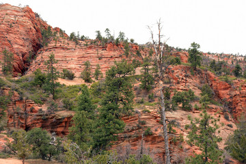 Utah Zion Nationalpark im Frühling