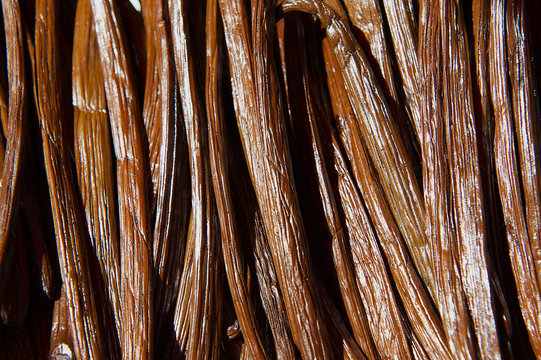 Vanilla dry fruit in the fermentation process for grading vanilla flavor at.La Reunion island.