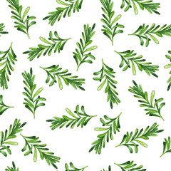 Seamless pattern with green rosemary branches on white background. Hand drawn watercolor illustration. - Illustration