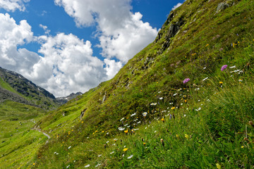 Silvrettagruppe in den Zentralalpen zwischen der Schweiz und Österreich von Österreich aus gesehen