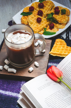 waffles and hot chocolate with marshmallows