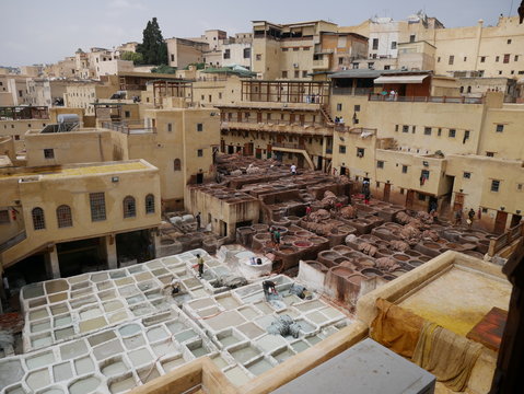 Panorama of the tannery in the medina of Fez, Morocco, with several workers dyeing leather in chemicals, historical craft in between old houses
