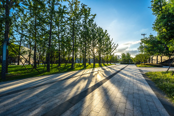 road in the forest