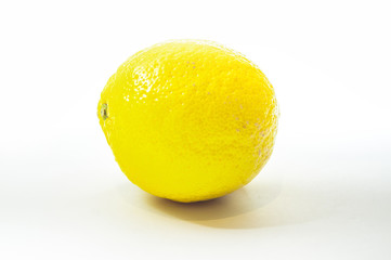 Lemon on a white background