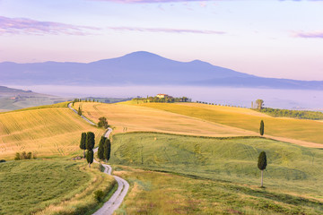 Obraz premium Landscape scenery early in the morning at Pienza in Val d’Orcia, Tuscany in Italy, with cypresses trees and green field with beautiful colors on summer day, travel destination in Europe
